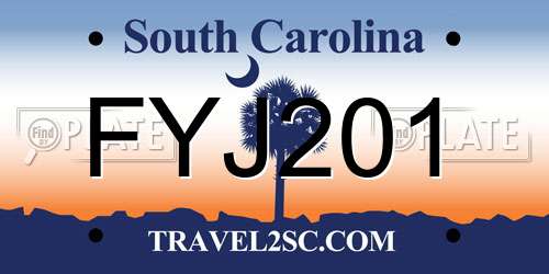 FYJ201 South Carolina License Plate