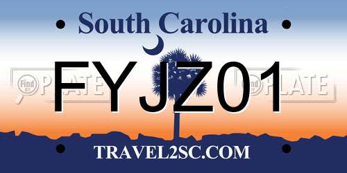 FYJZ01 South Carolina License Plate