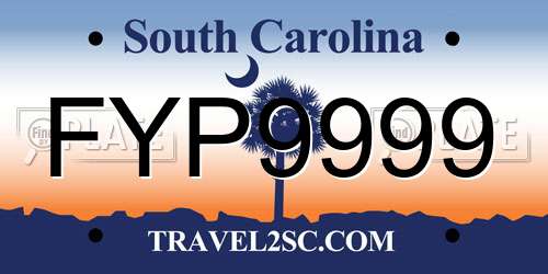 FYP9999 South Carolina License Plate