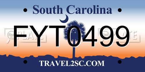 FYT0499 South Carolina License Plate