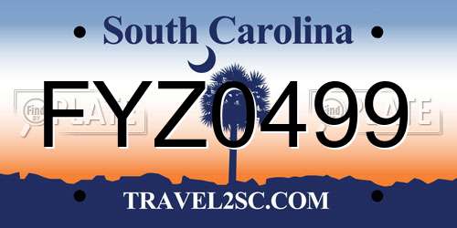 FYZ0499 South Carolina License Plate