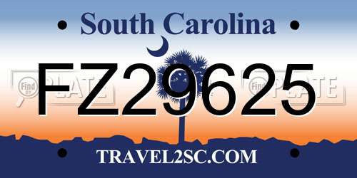 FZ29625 South Carolina License Plate