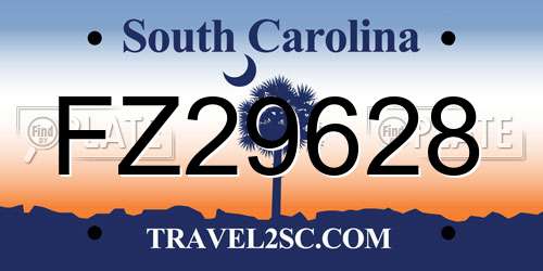 FZ29628 South Carolina License Plate