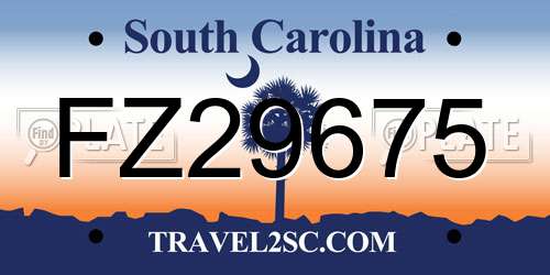 FZ29675 South Carolina License Plate