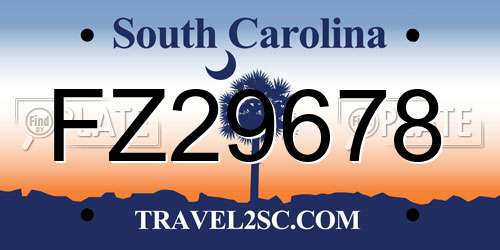 FZ29678 South Carolina License Plate