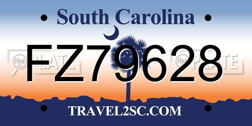 FZ79628 South Carolina License Plate