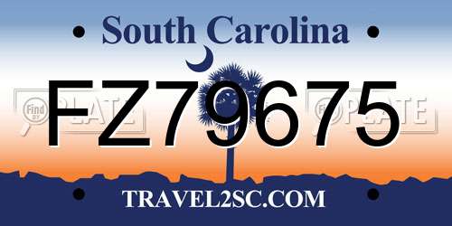 FZ79675 South Carolina License Plate