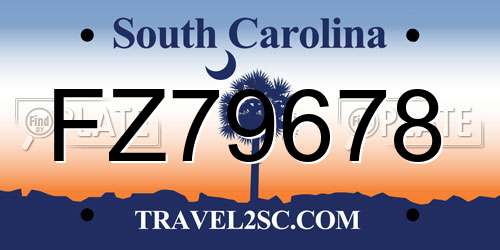FZ79678 South Carolina License Plate