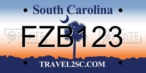 FZB123 South Carolina License Plate