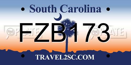 FZB173 South Carolina License Plate