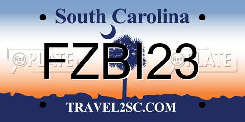 FZBI23 South Carolina License Plate