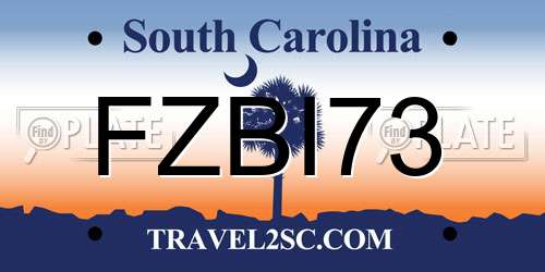 FZBI73 South Carolina License Plate