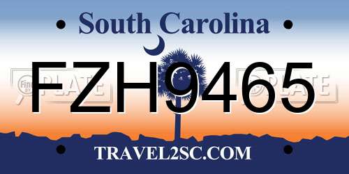 FZH9465 South Carolina License Plate