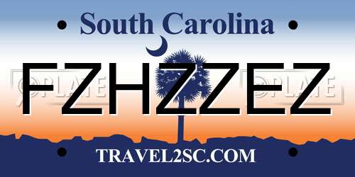 FZHZZEZ South Carolina License Plate