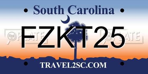 FZKT25 South Carolina License Plate