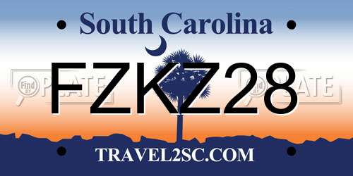 FZKZ28 South Carolina License Plate
