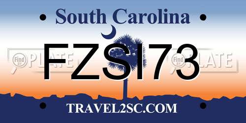 FZSI73 South Carolina License Plate