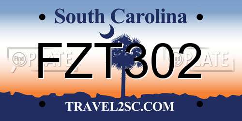 FZT302 South Carolina License Plate