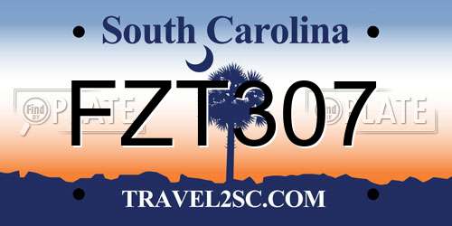 FZT307 South Carolina License Plate