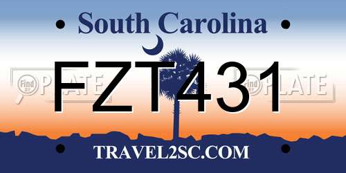 FZT431 South Carolina License Plate