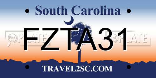 FZTA31 South Carolina License Plate