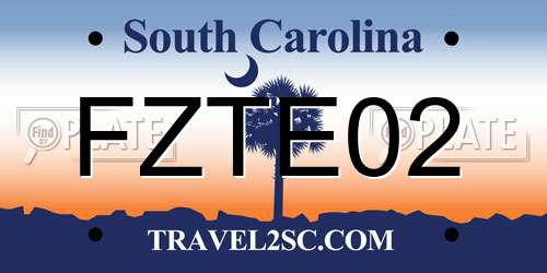 FZTE02 South Carolina License Plate