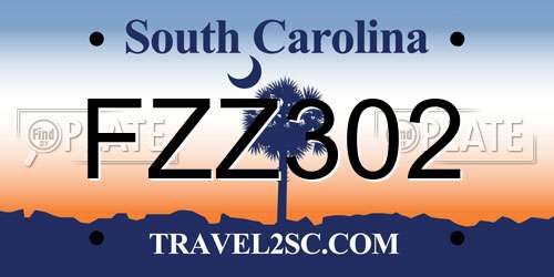 FZZ302 South Carolina License Plate