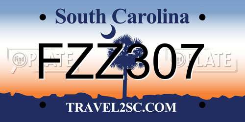 FZZ307 South Carolina License Plate