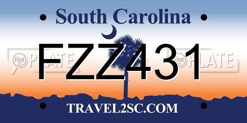 FZZ431 South Carolina License Plate