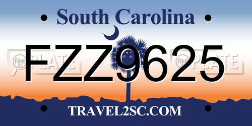 FZZ9625 South Carolina License Plate