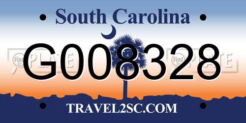 G008328 South Carolina License Plate