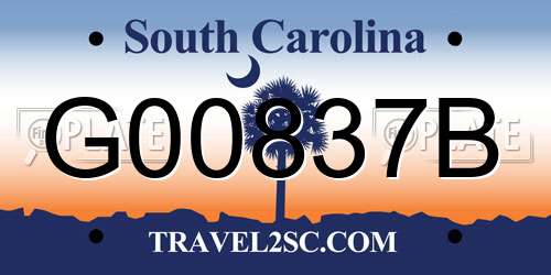 G00837B South Carolina License Plate