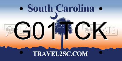 G01TCK South Carolina License Plate