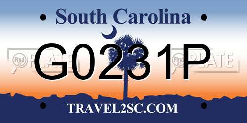 G0231P South Carolina License Plate