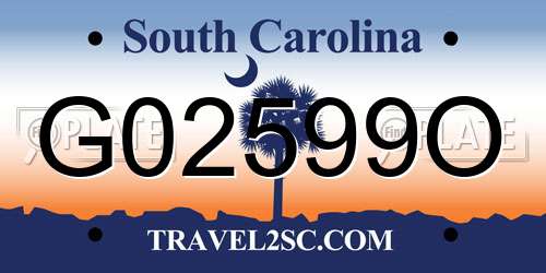 G02599O South Carolina License Plate