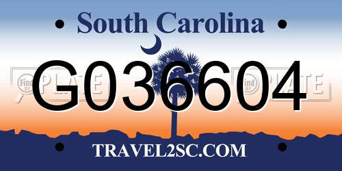 G036604 South Carolina License Plate