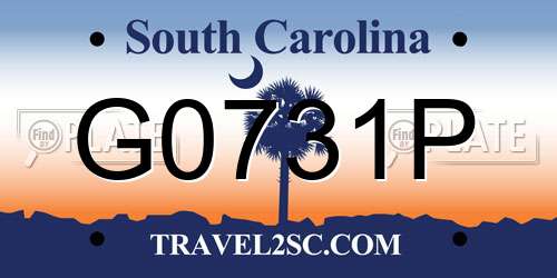 G0731P South Carolina License Plate