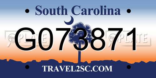 G073871 South Carolina License Plate
