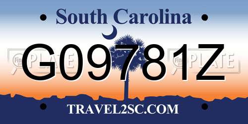 G09781Z South Carolina License Plate