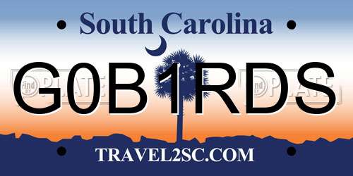 G0B1RDS South Carolina License Plate