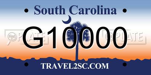G10000 South Carolina License Plate