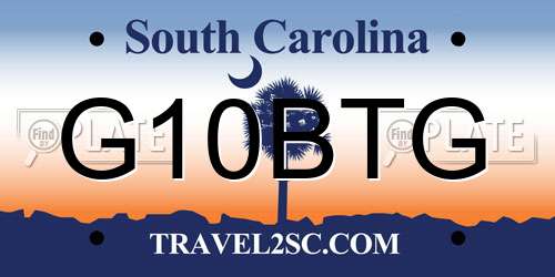 G10BTG South Carolina License Plate