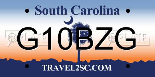 G10BZG South Carolina License Plate