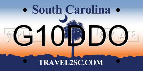 G10DDO South Carolina License Plate