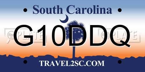 G10DDQ South Carolina License Plate