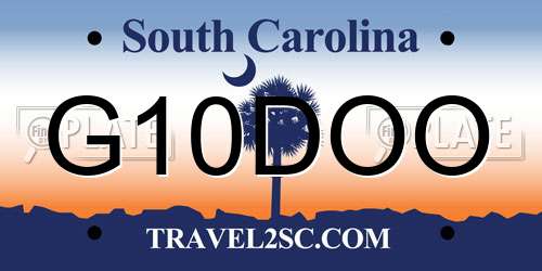 G10DOO South Carolina License Plate