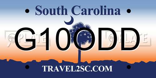 G10ODD South Carolina License Plate