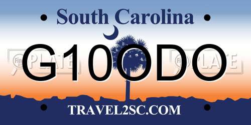 G10ODO South Carolina License Plate