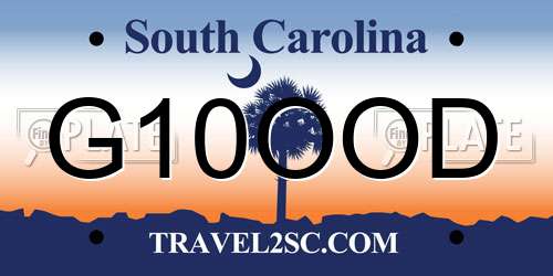 G10OOD South Carolina License Plate