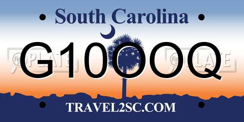 G10OOQ South Carolina License Plate